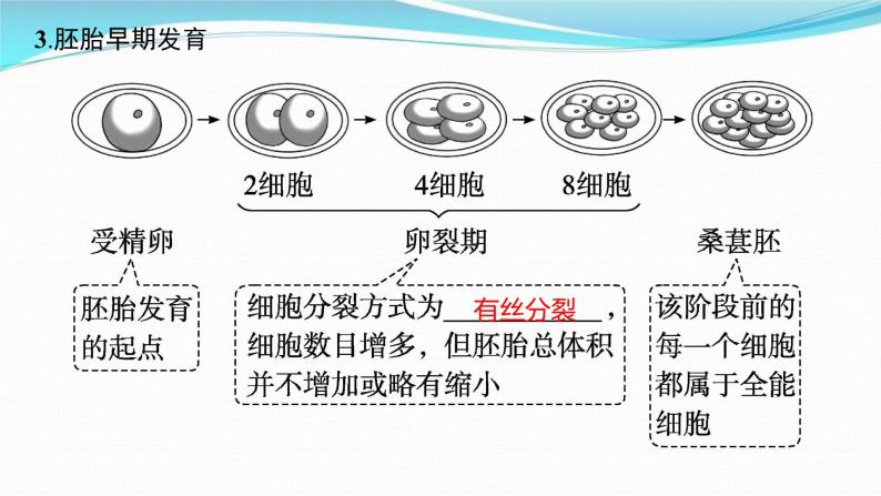 新高考生物一轮复习讲练课件：第36讲　胚胎工程及生物技术的安全性与伦理问题（含解析）07