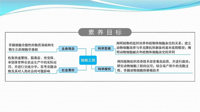 新高考生物一轮复习讲练课件:第35讲 细胞工程(含解析)第2页