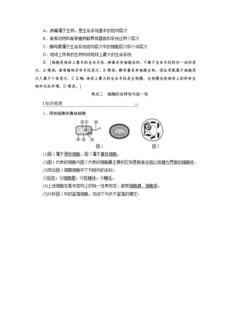 新高考生物一轮复习学案:第1讲 走近细胞(含解析)第3页