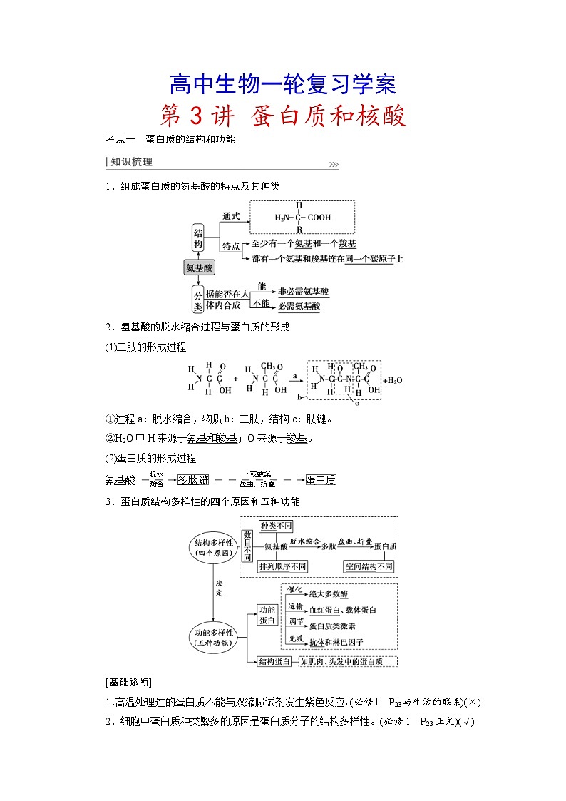 新高考生物一轮复习学案:第3讲 蛋白质和核酸(含解析)第1页