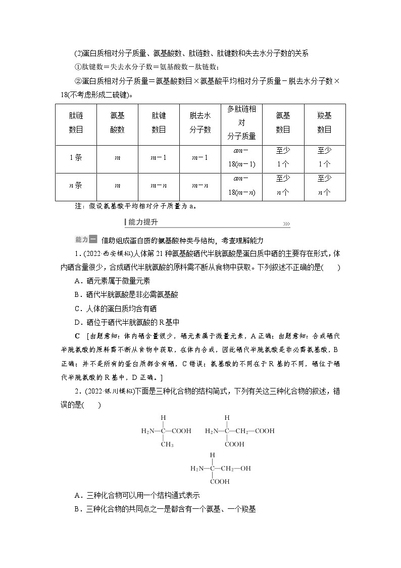 新高考生物一轮复习学案:第3讲 蛋白质和核酸(含解析)第3页