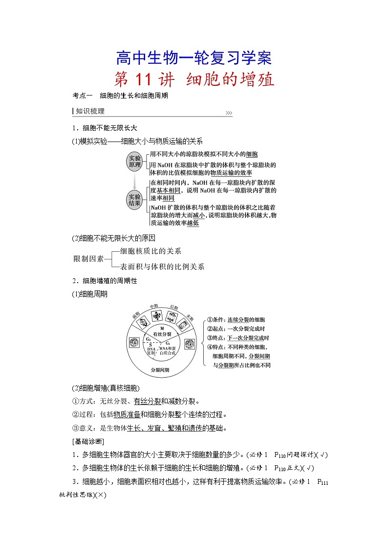 新高考生物一轮复习学案:第11讲 细胞的增殖(含解析)01