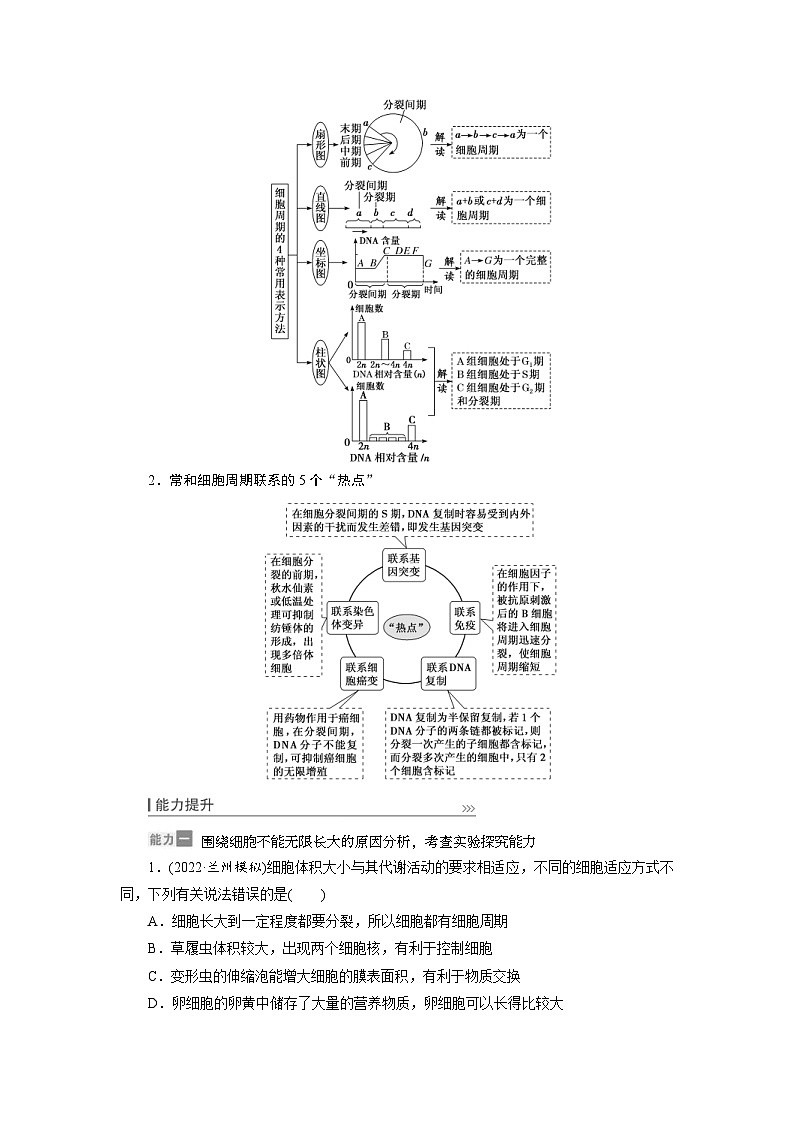 新高考生物一轮复习学案:第11讲 细胞的增殖(含解析)03