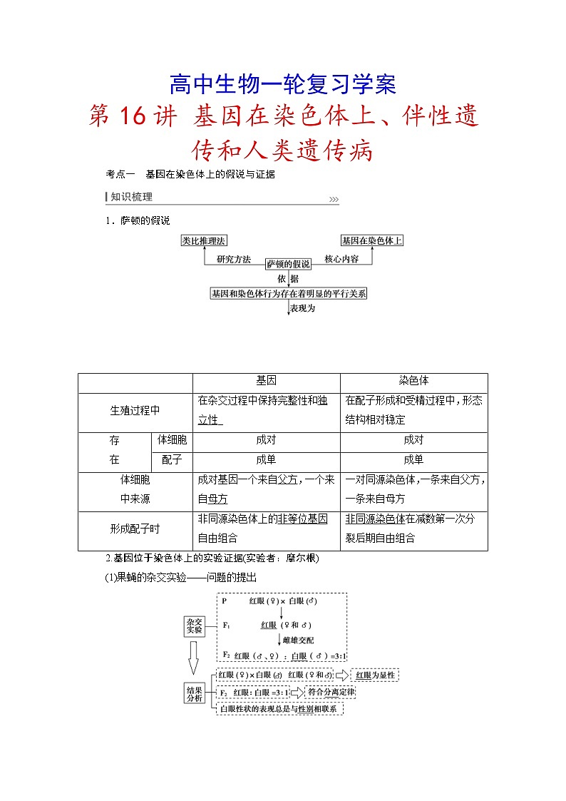 新高考生物一轮复习学案:第16讲 基因在染色体上、伴性遗传和人类遗传病(含解析)第1页