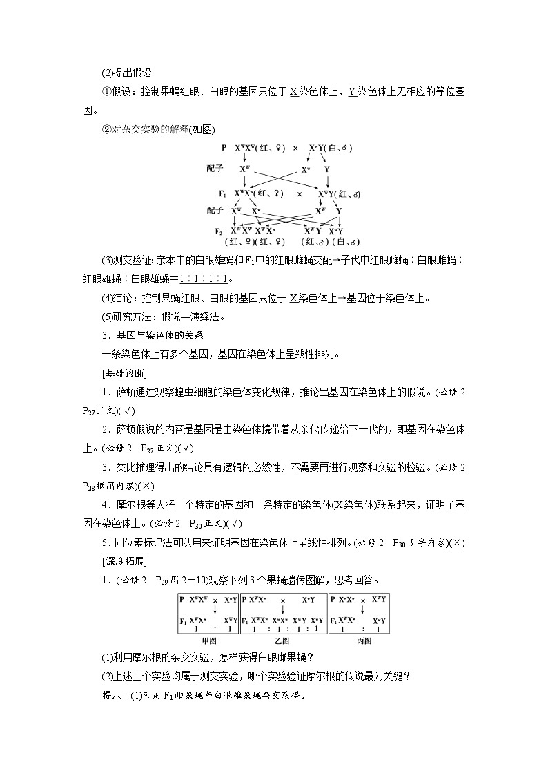新高考生物一轮复习学案:第16讲 基因在染色体上、伴性遗传和人类遗传病(含解析)第2页
