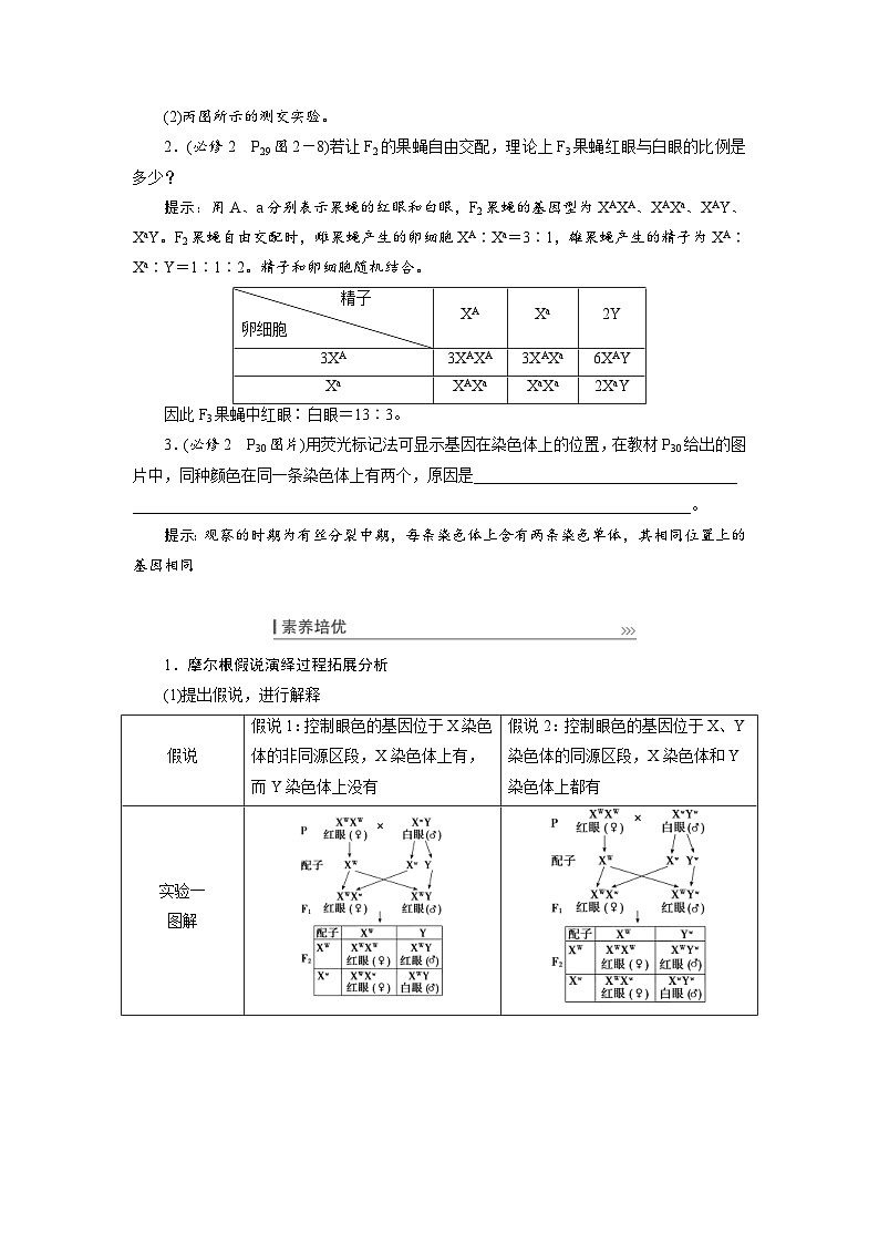 新高考生物一轮复习学案:第16讲 基因在染色体上、伴性遗传和人类遗传病(含解析)第3页