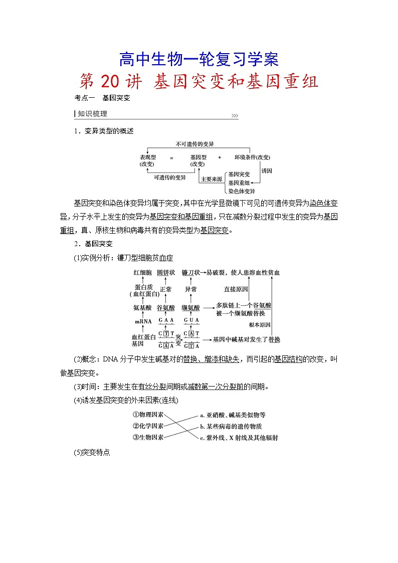 新高考生物一轮复习学案:第20讲 基因突变和基因重组(含解析)01