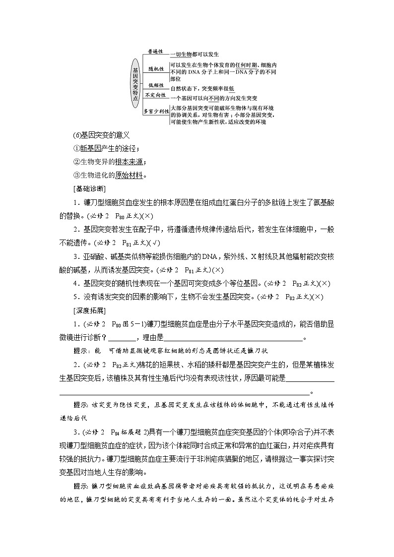 新高考生物一轮复习学案:第20讲 基因突变和基因重组(含解析)02