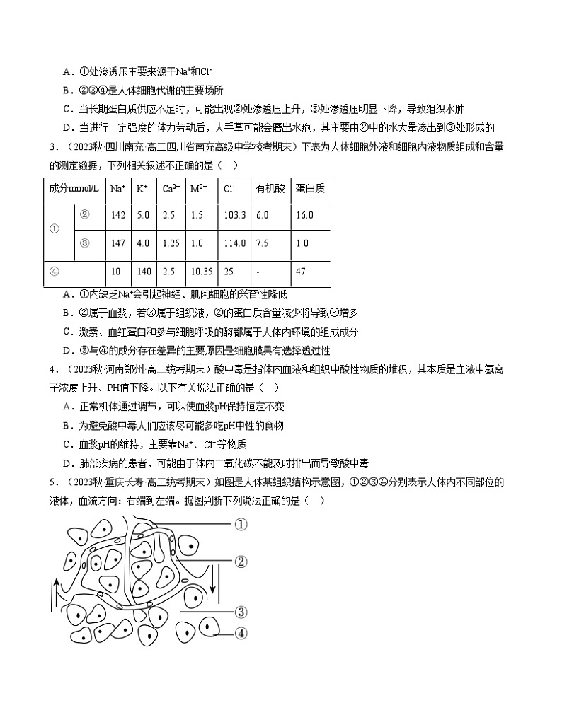 (人教版2019)2023-2024学年高二生物上学期 第一次月考B卷02
