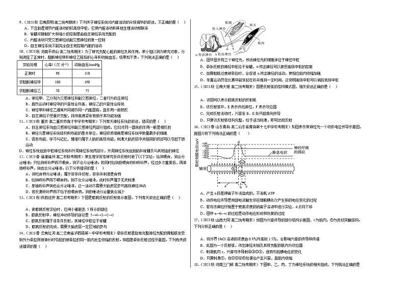 (人教版2019)2023-2024学年高二生物上学期 第一次月考B卷02