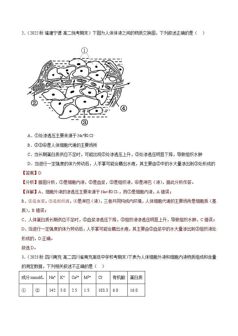 (人教版2019)2023-2024学年高二生物上学期 第一次月考B卷02