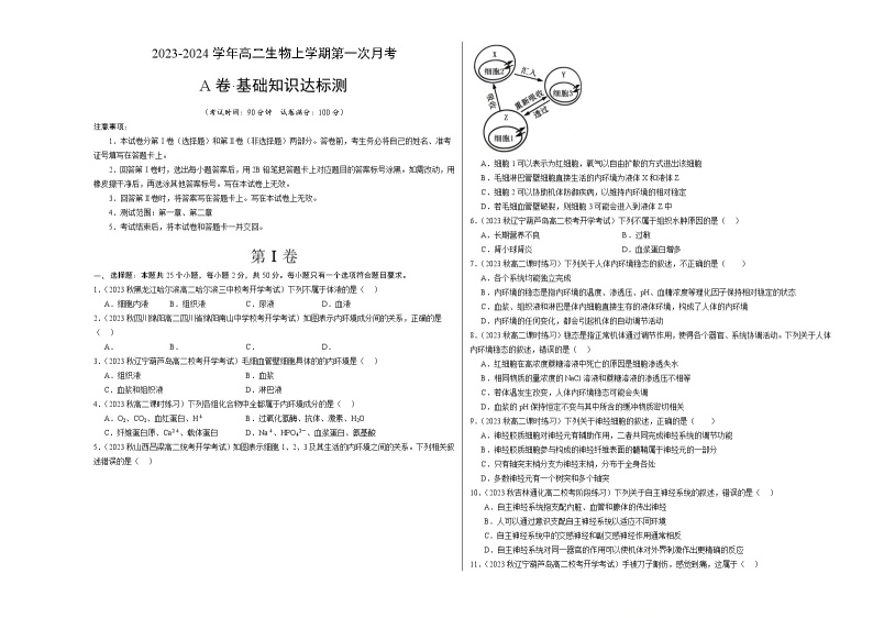 （人教版2019）2023-2024学年高二生物上学期 第一次月考卷01