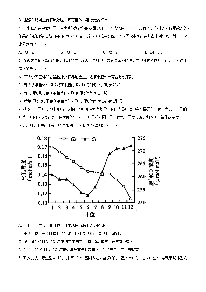 2024辽宁省滨城高中联盟高三上学期期中Ⅰ考试生物含解析第2页
