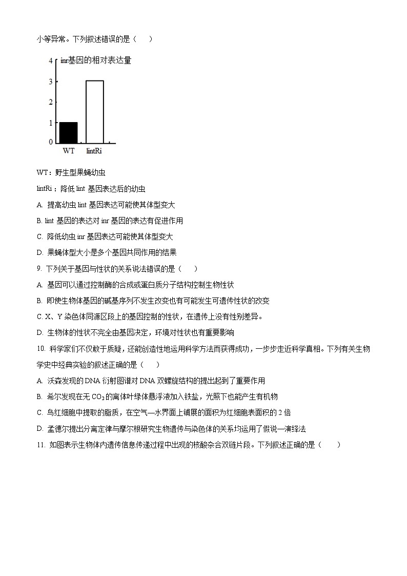 2024辽宁省滨城高中联盟高三上学期期中Ⅰ考试生物含解析第3页