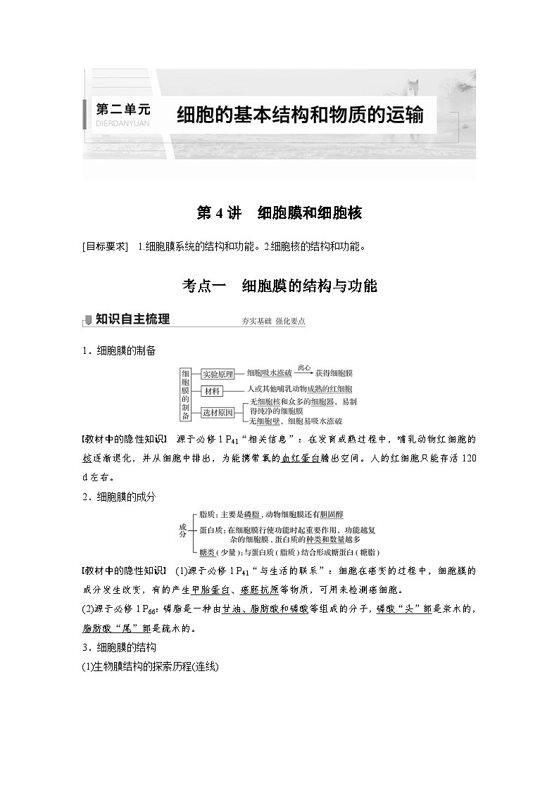 新高考生物一轮复习精品学案 第2单元 第4讲 细胞膜和细胞核(含解析)01