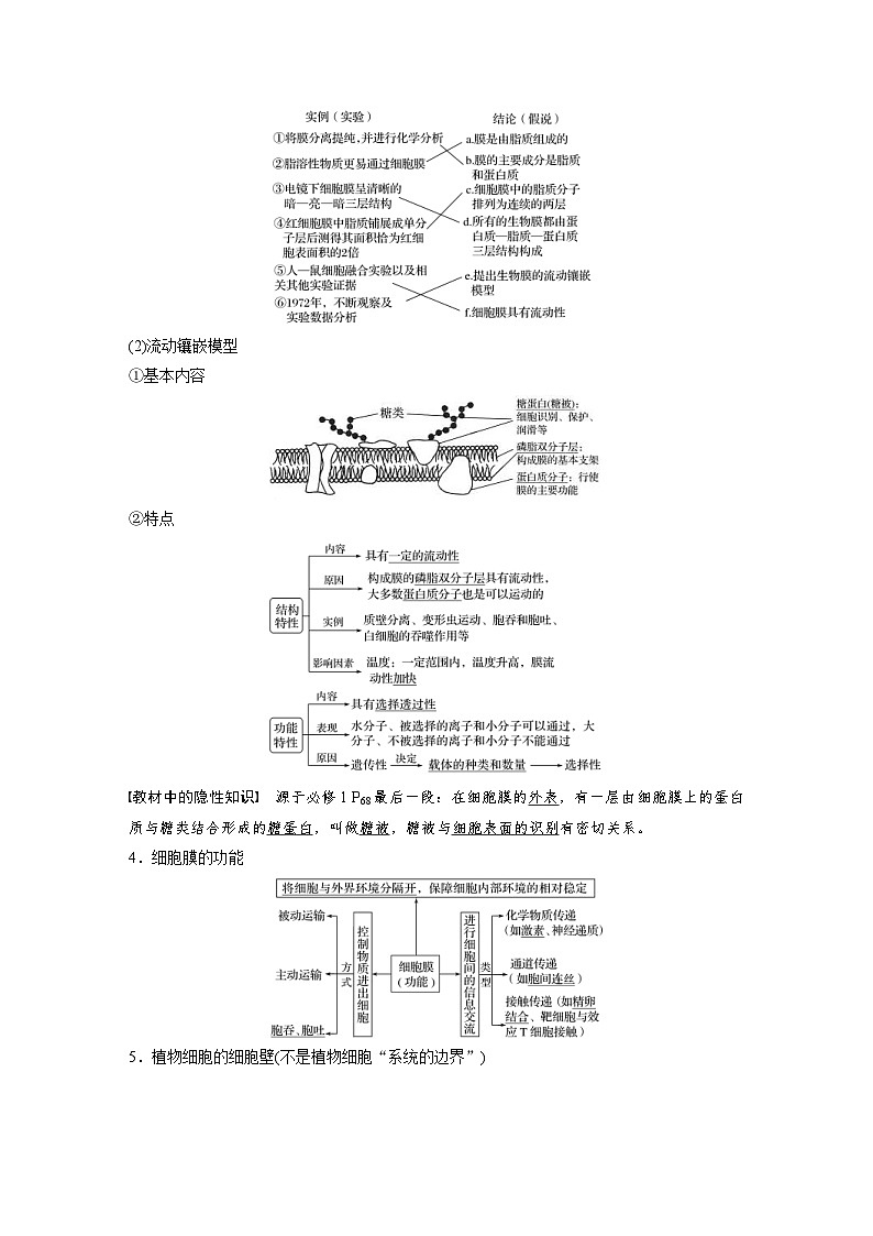新高考生物一轮复习精品学案 第2单元 第4讲 细胞膜和细胞核(含解析)02