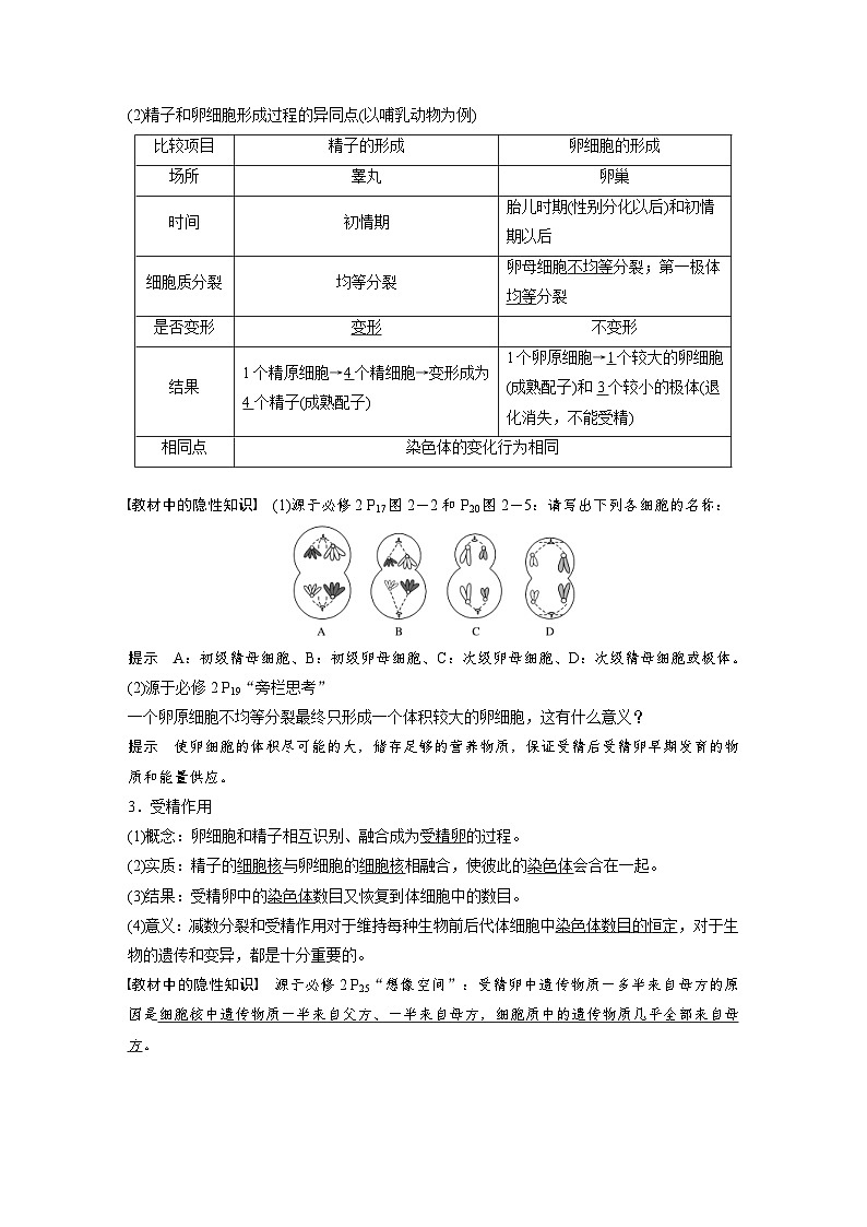 新高考生物一轮复习精品学案 第4单元 第12讲 减数分裂和受精作用(含解析)02