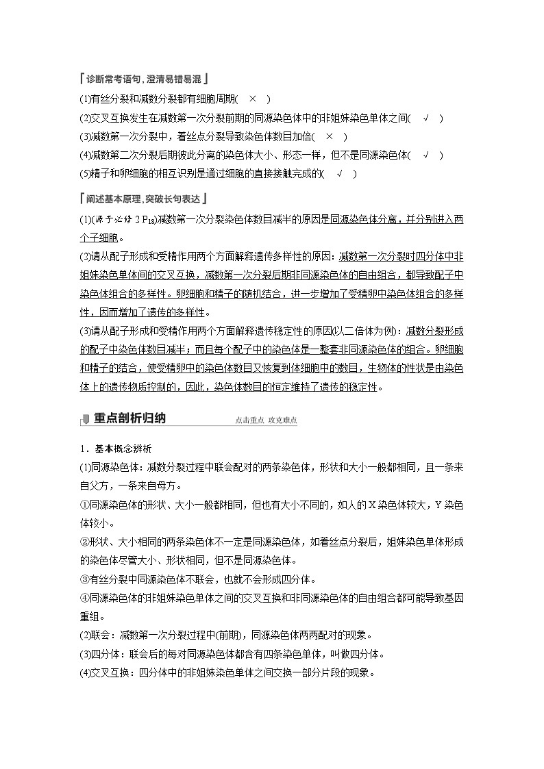 新高考生物一轮复习精品学案 第4单元 第12讲 减数分裂和受精作用(含解析)03