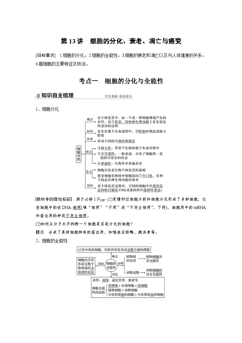 新高考生物一轮复习精品学案 第4单元 第13讲 细胞的分化、衰老、凋亡与癌变(含解析)01