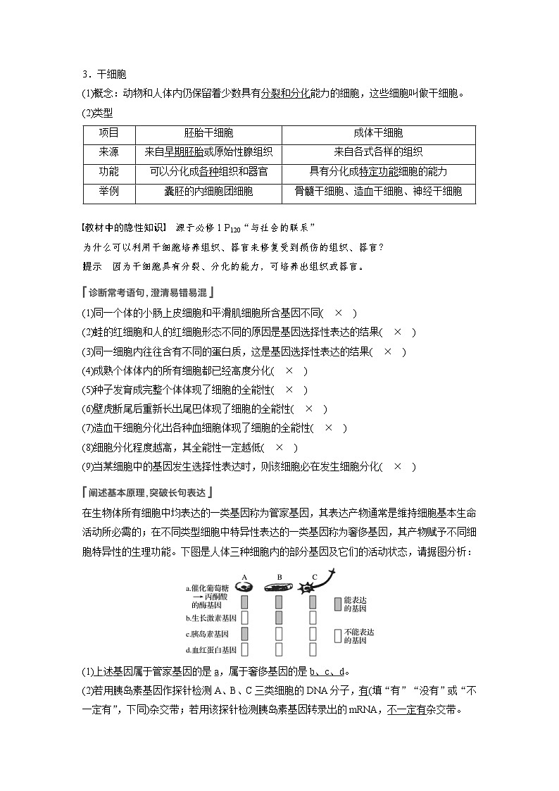 新高考生物一轮复习精品学案 第4单元 第13讲 细胞的分化、衰老、凋亡与癌变(含解析)02