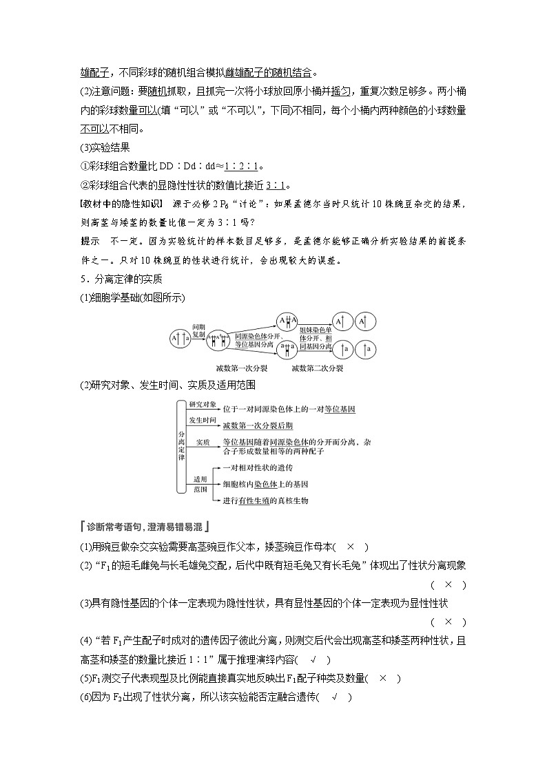 新高考生物一轮复习精品学案 第5单元 第14讲 基因的分离定律(含解析)第3页