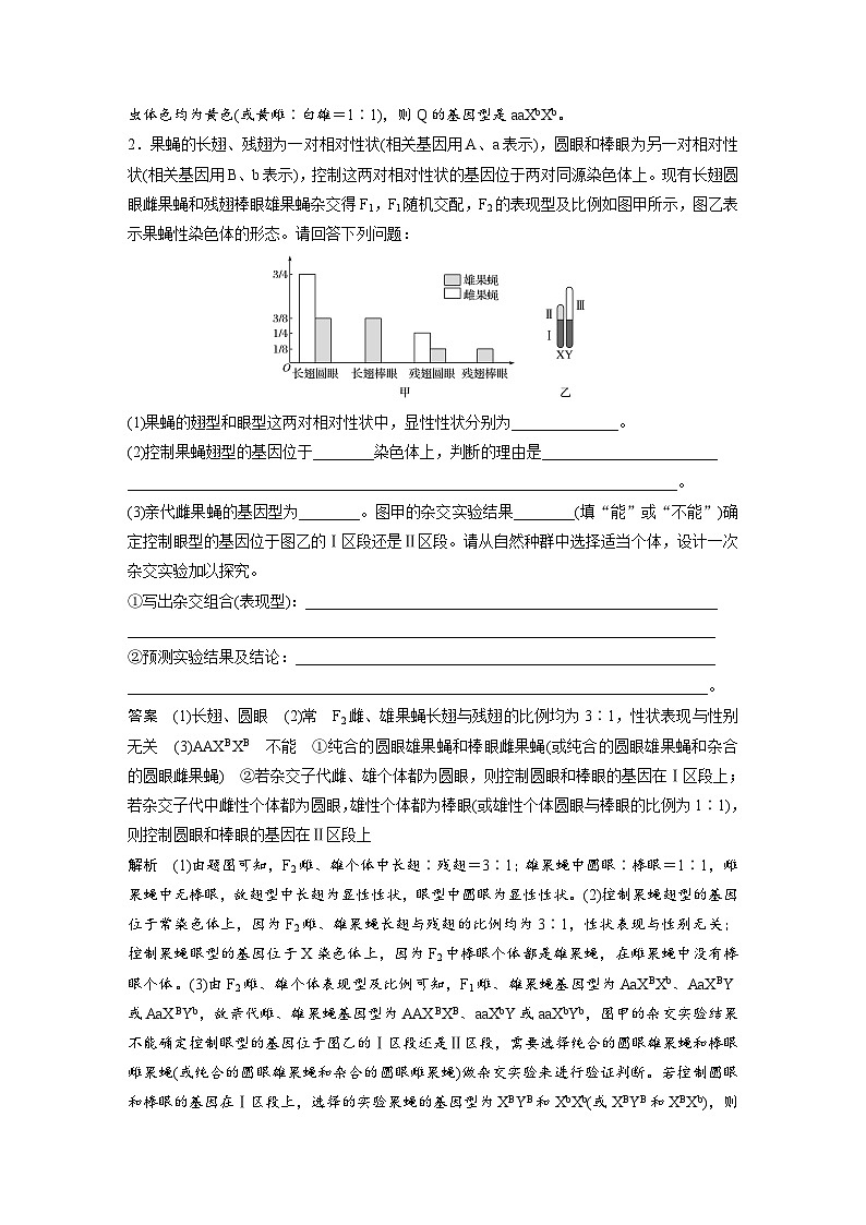 新高考生物一轮复习精品学案 第5单元 强化练11 伴性遗传相关实验设计(含解析)02
