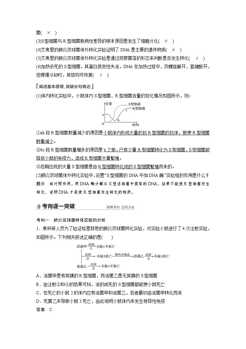 新高考生物一轮复习精品学案 第6单元 第17讲 DNA是主要的遗传物质(含解析)02