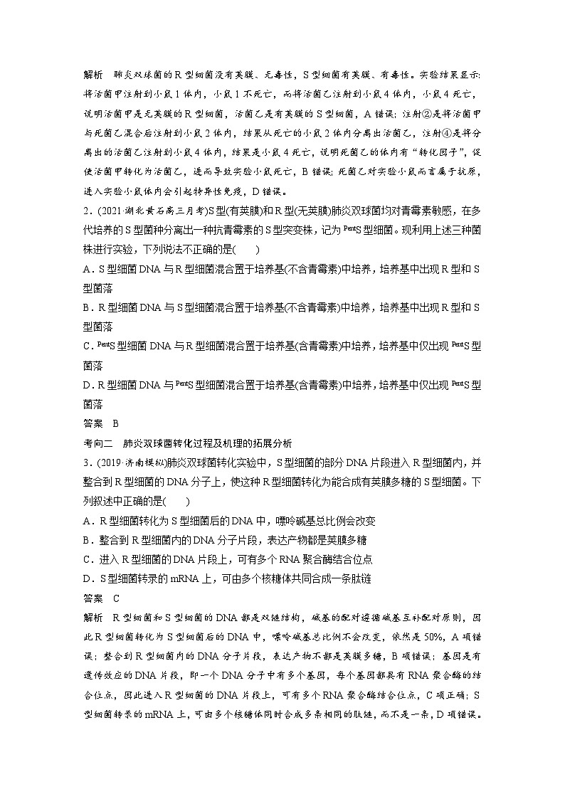 新高考生物一轮复习精品学案 第6单元 第17讲 DNA是主要的遗传物质(含解析)03