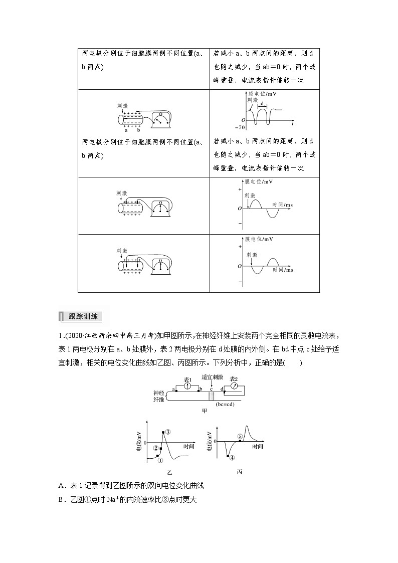 新高考生物一轮复习精品学案 第8单元 第24讲  热点题型七   兴奋传导与传递的相关实验探究题(含解析)02