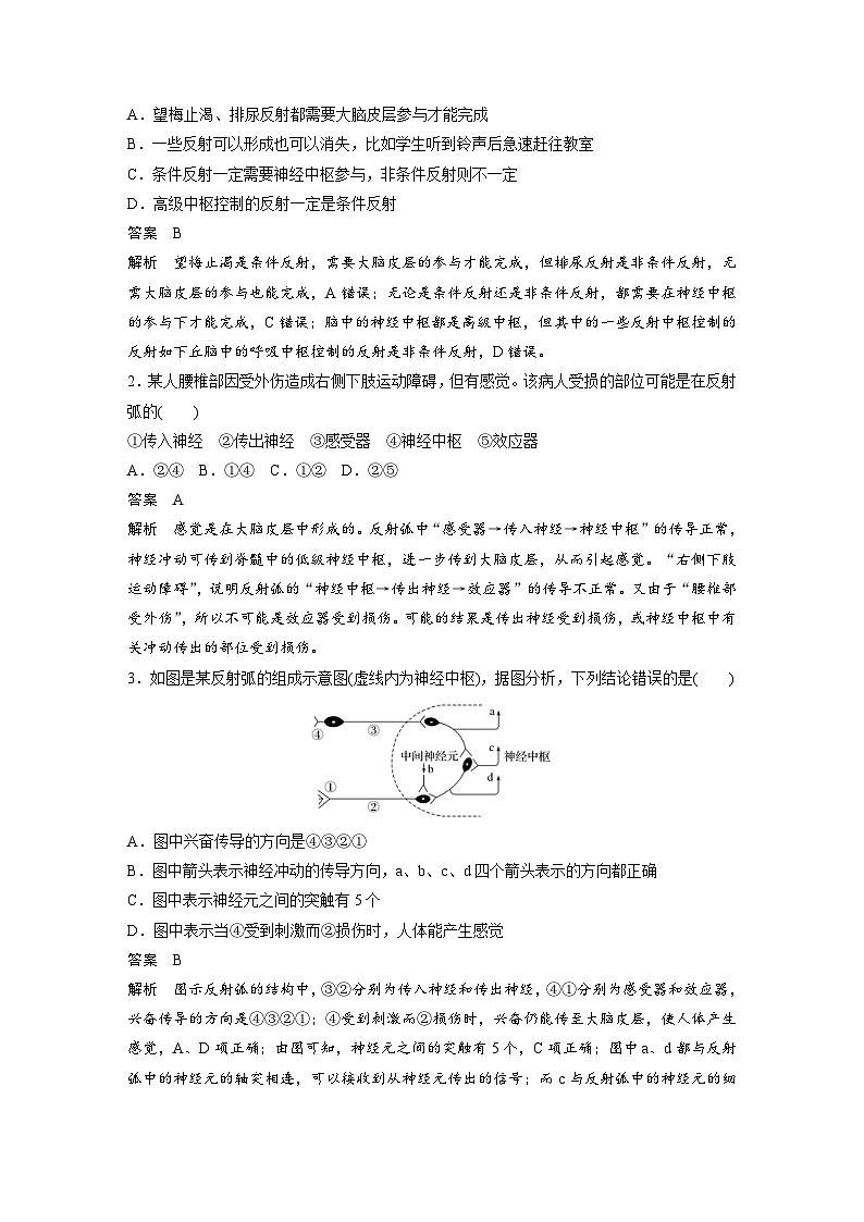 新高考生物一轮复习精品学案 第8单元 第24讲 通过神经系统的调节(含解析)03