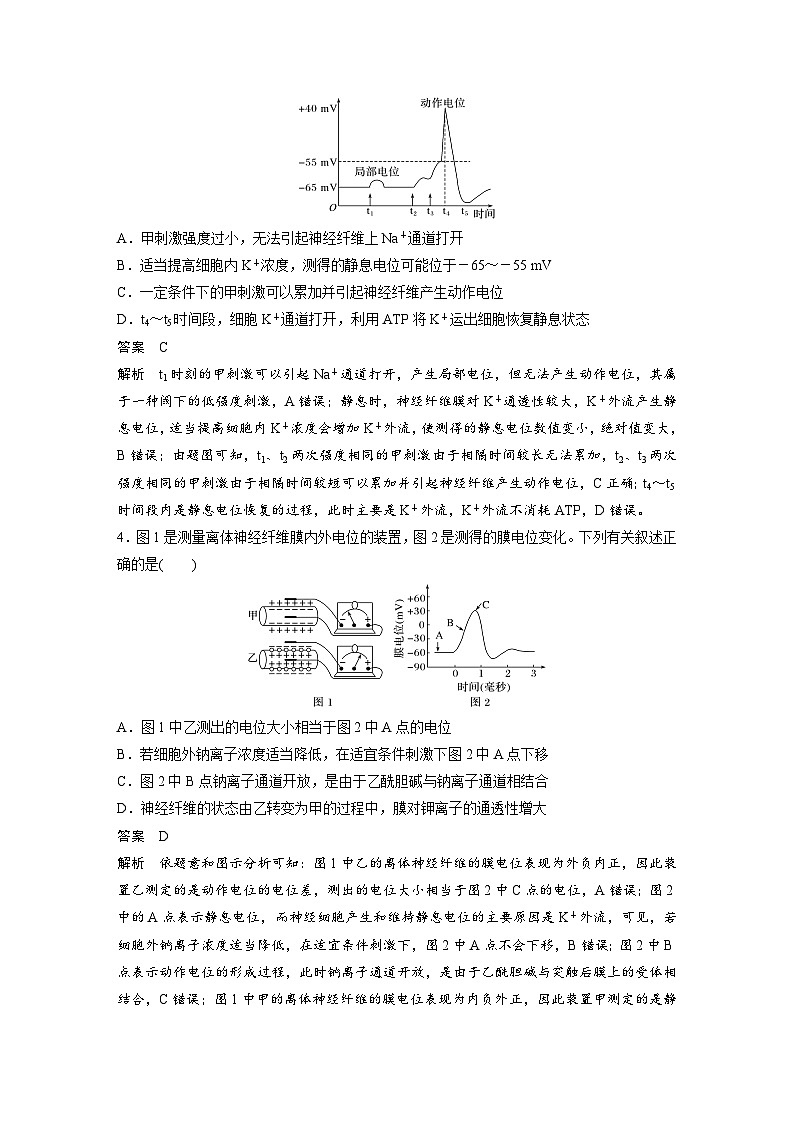 新高考生物一轮复习精品学案 第8单元 强化练15 兴奋传导的电位变化和电流表指针偏转问题(含解析)第2页