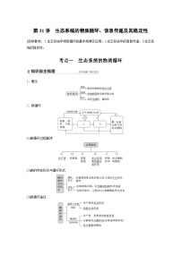 新高考生物一轮复习精品学案 第9单元 第31讲　生态系统的物质循环、信息传递及其稳定性（含解析）