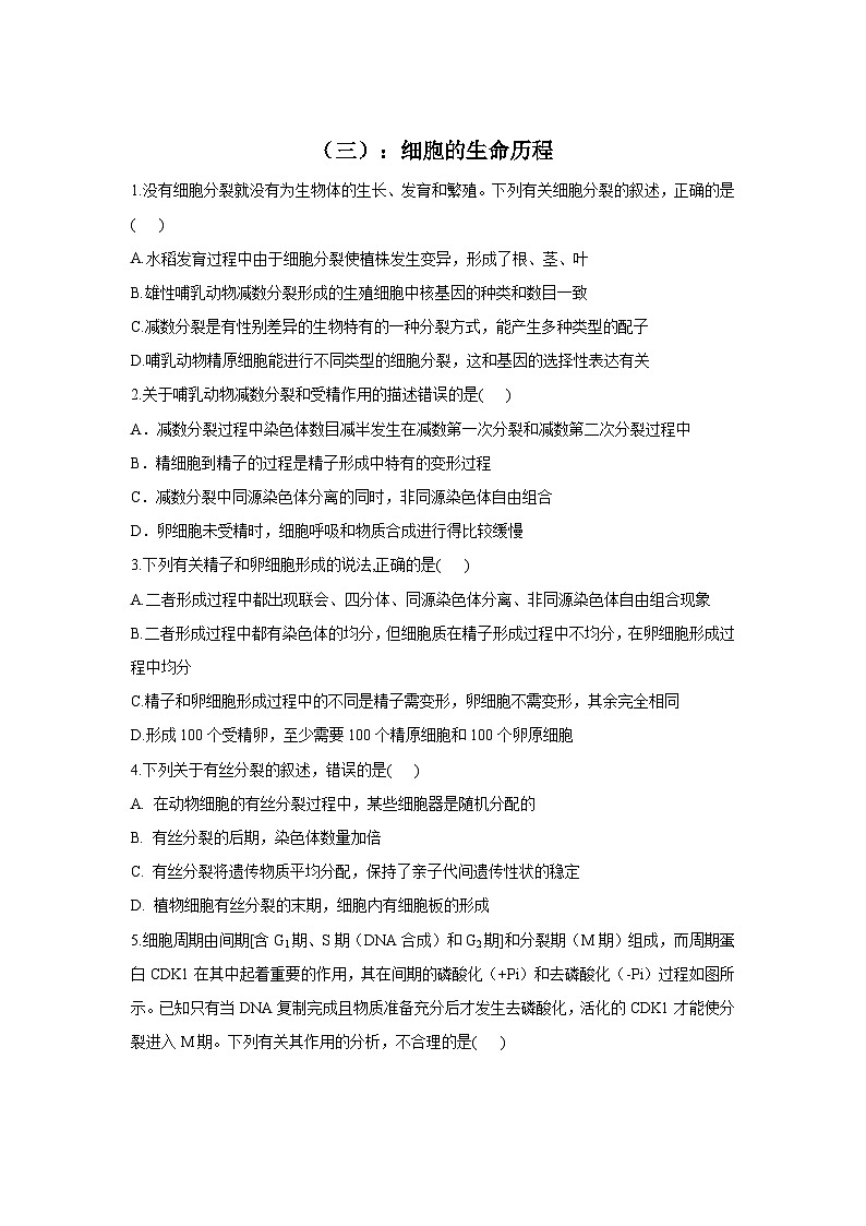 新高考生物二轮复习专题综合练(三):细胞的生命历程(含解析)第1页