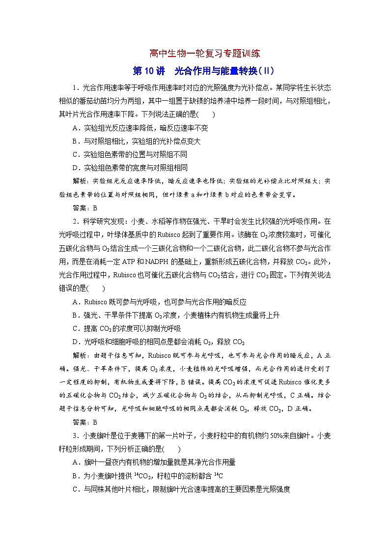 新高考生物一轮复习专题训练:第10讲 光合作用与能量转换(含解析)第1页
