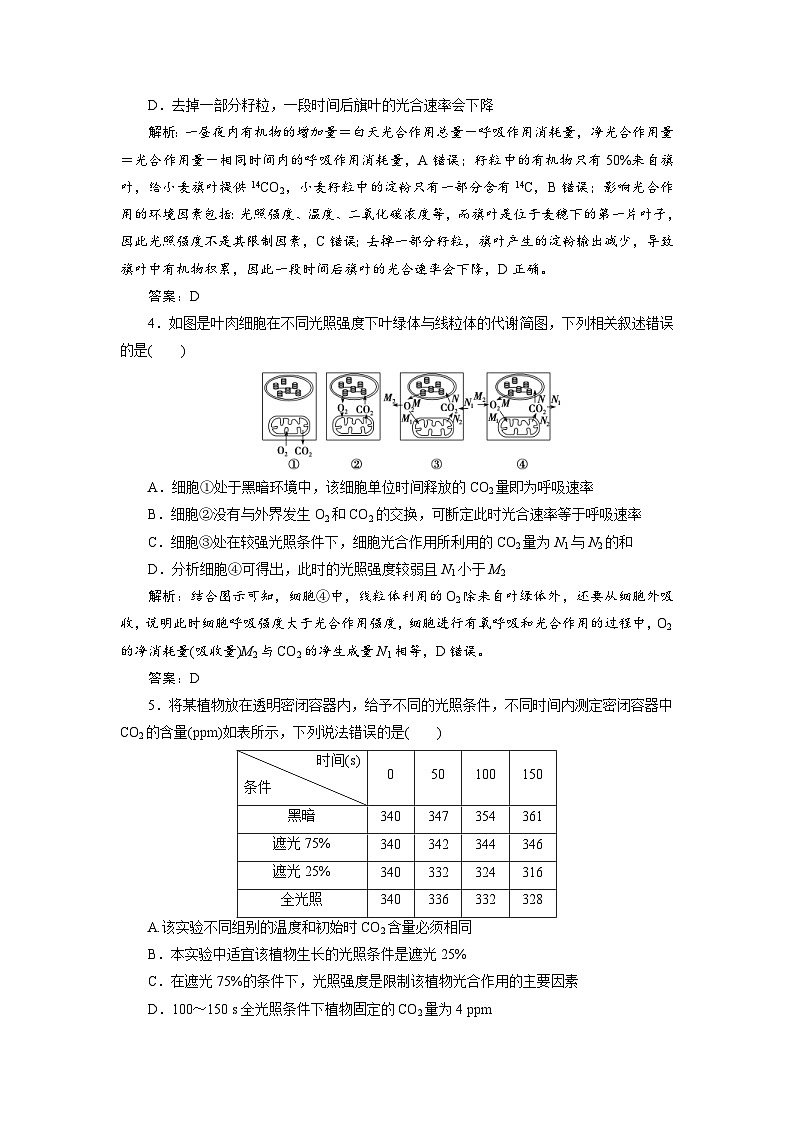 新高考生物一轮复习专题训练:第10讲 光合作用与能量转换(含解析)第2页