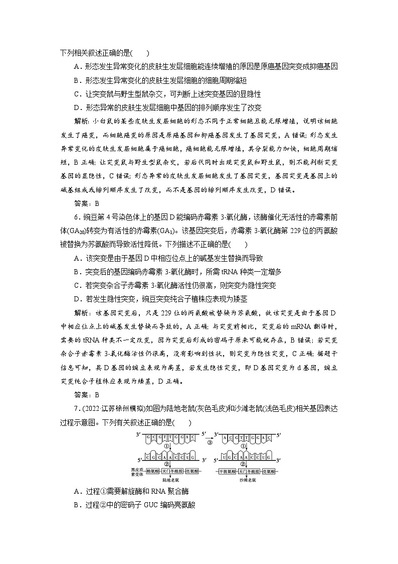 新高考生物一轮复习专题训练:第20讲 基因突变与基因重组(含解析)第3页