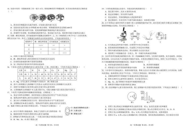 2024重庆市万州二中高一上学期10月月考试题生物PDF版含答案02