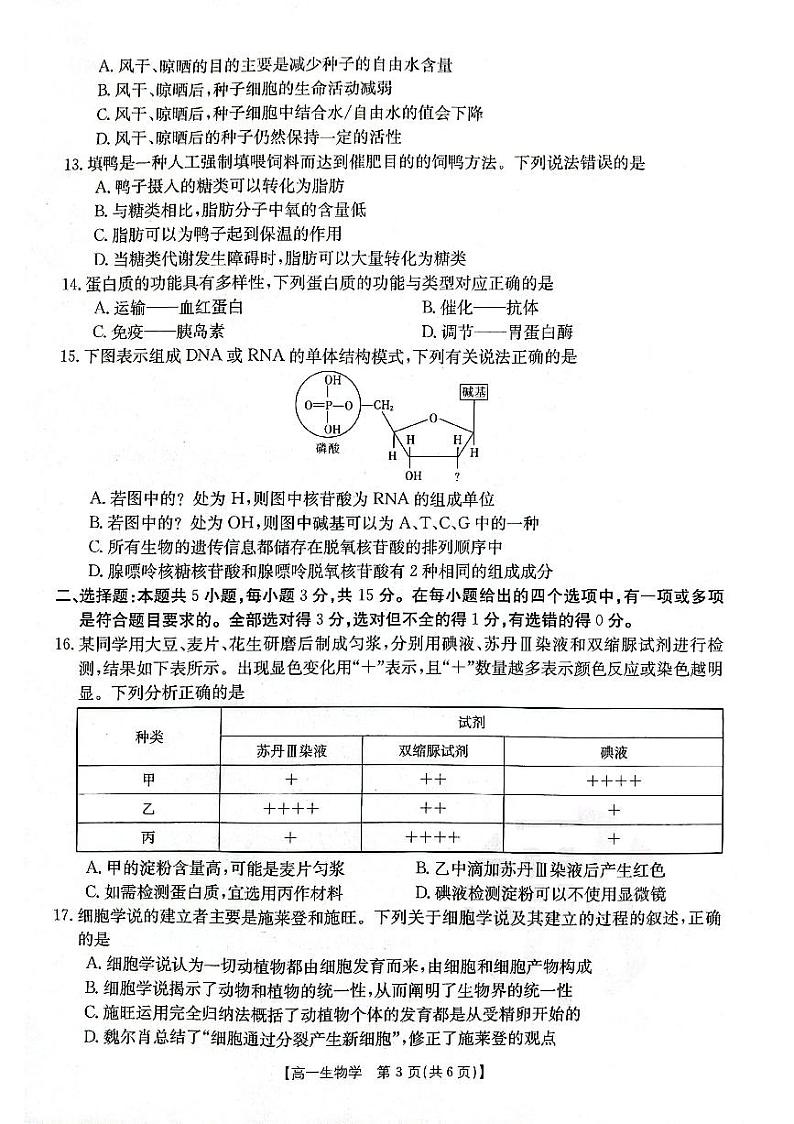 2024辽宁省部分学校高一上学期10月月考生物PDF版含答案第3页