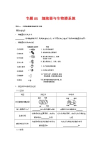 新高考生物二轮复习核心考点梳理与分层练习专题05 细胞器与生物膜系统（含解析）