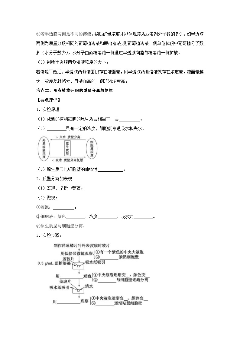 新高考生物二轮复习核心考点梳理与分层练习专题06 细胞的物质输入与输出（含解析）03