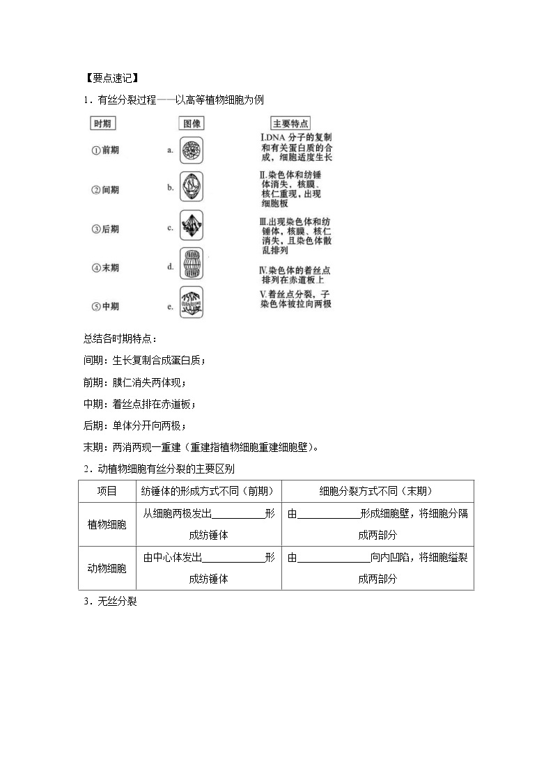 新高考生物二轮复习核心考点梳理与分层练习专题10_细胞的有丝分裂（含解析）03