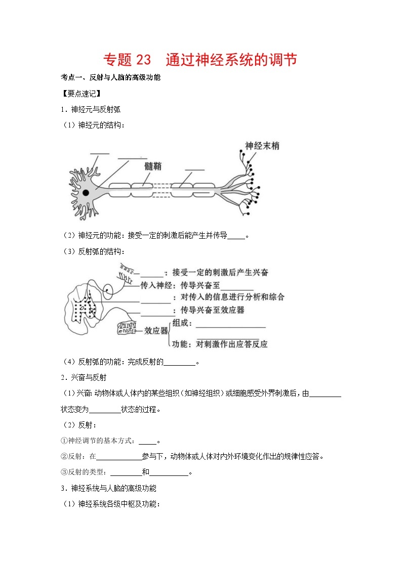 新高考生物二轮复习核心考点梳理与分层练习专题23 通过神经系统的调节（含解析）01