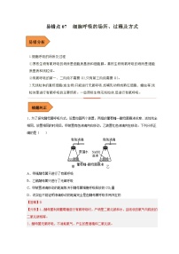 新高考生物二輪復(fù)習(xí)易錯(cuò)題精選練習(xí)易錯(cuò)點(diǎn)07  細(xì)胞呼吸的場(chǎng)所、過(guò)程及方式（含解析）