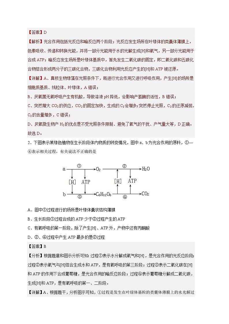 新高考生物二轮复习易错题精选练习易错点08 光合作用(含解析)第2页
