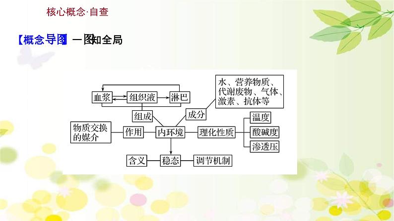 新高考生物一轮复习课件 第八单元 第1课 人体的内环境与稳态(含解析)第3页