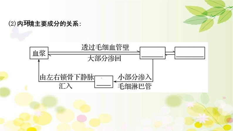 新高考生物一轮复习课件 第八单元 第1课 人体的内环境与稳态(含解析)第6页