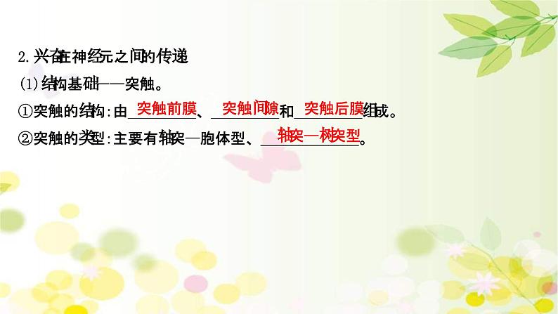 新高考生物一轮复习课件 第八单元 第2课 通过神经系统的调节(含解析)第8页