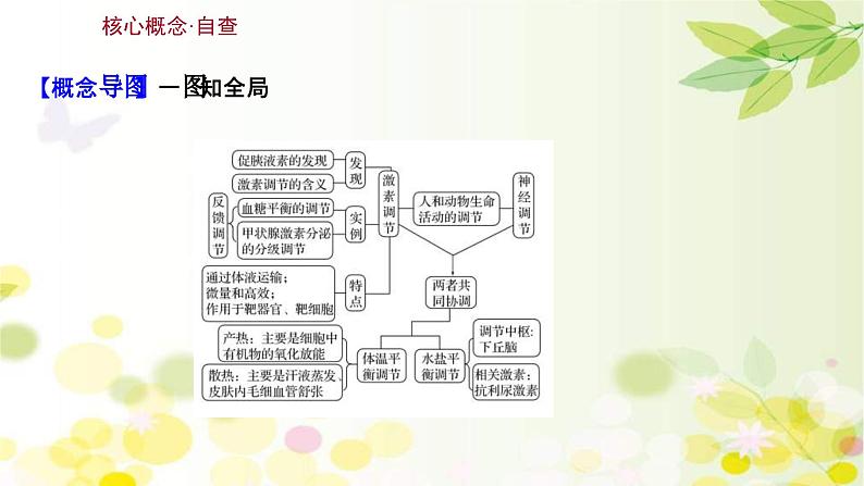 新高考生物一轮复习课件 第八单元 第3课 通过激素的调节及神经调节与体液调节的关系(含解析)第3页
