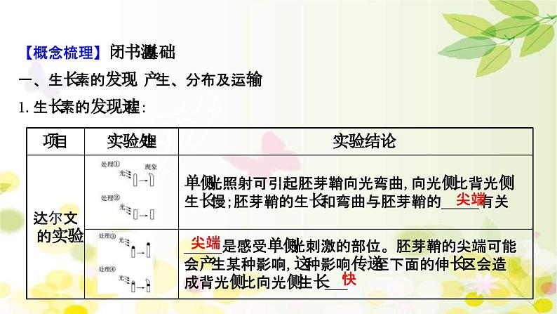 新高考生物一轮复习课件 第八单元 第5课 植物的激素调节(含解析)第4页