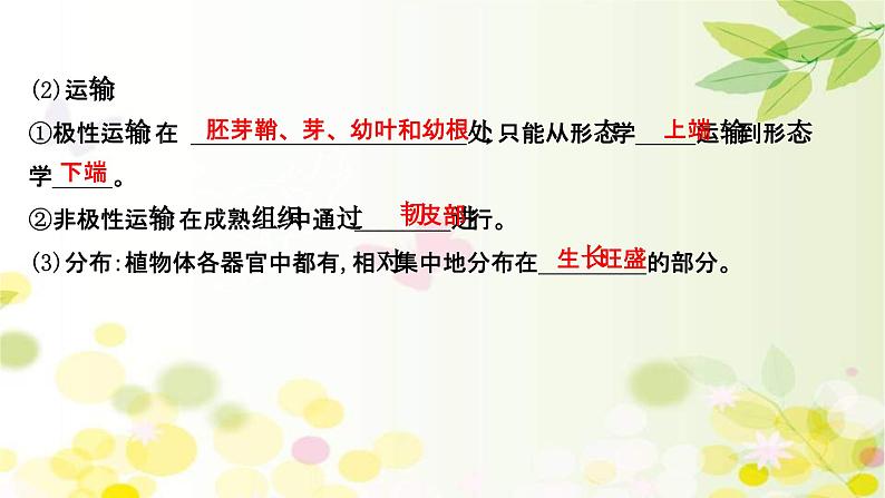 新高考生物一轮复习课件 第八单元 第5课 植物的激素调节(含解析)第7页